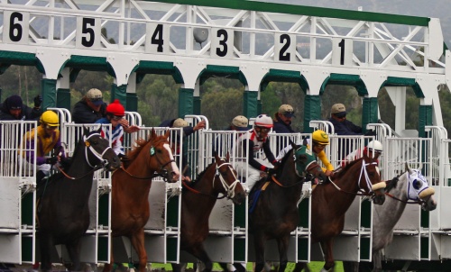 Betting Triple Crown Betting Triple Crown